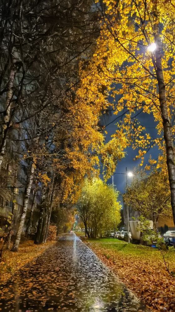 Photograph by Анна Кривицкая