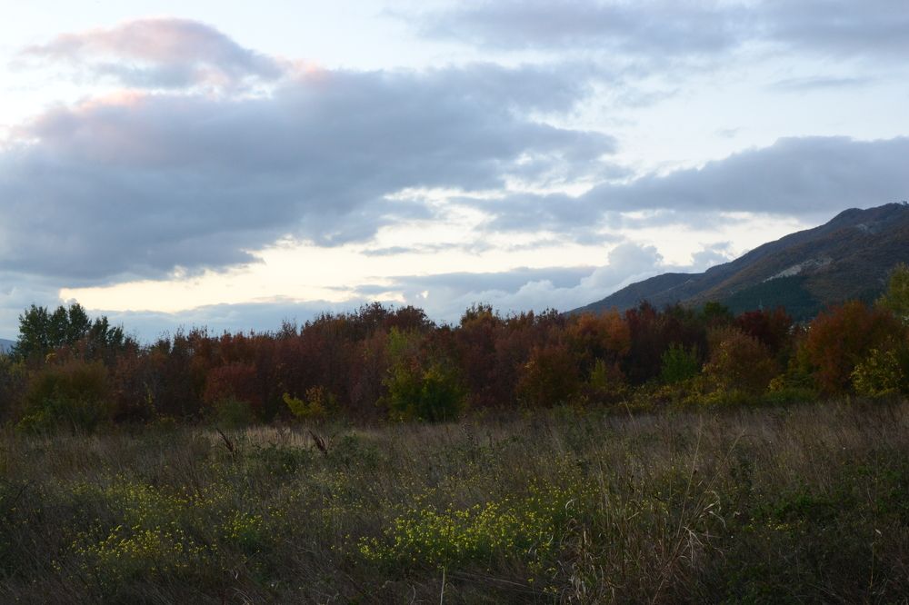 Photograph by Aleksey