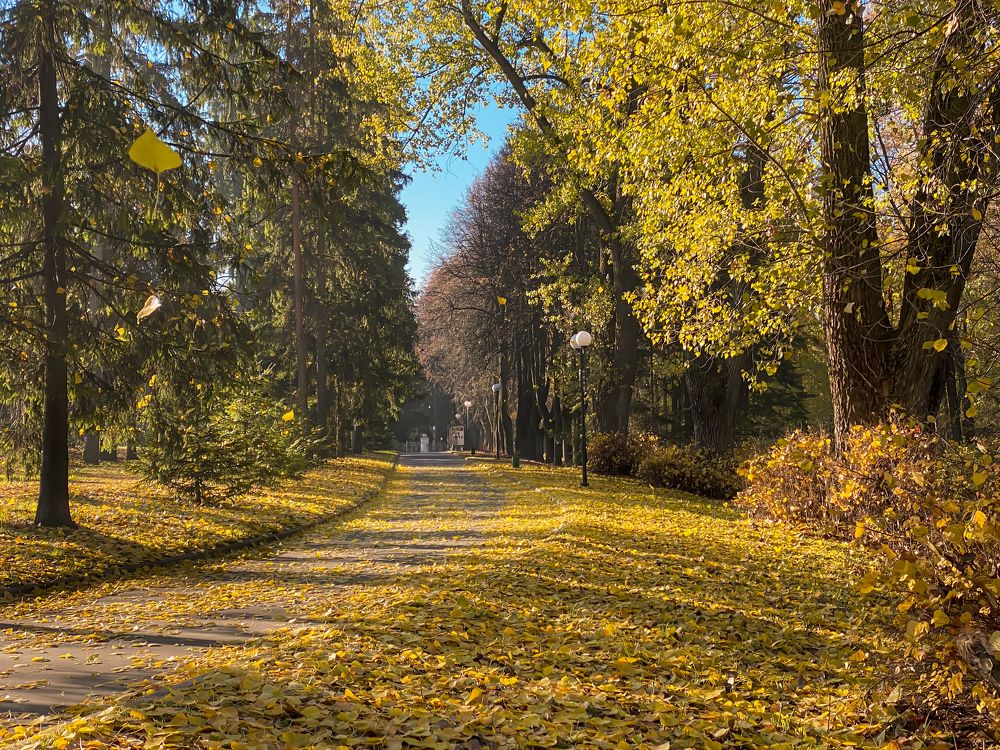 Photograph by александр лялин