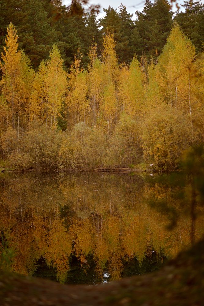 Photograph by Олеся Парфенова