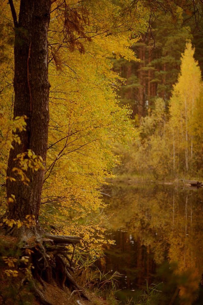 Photograph by Олеся Парфенова