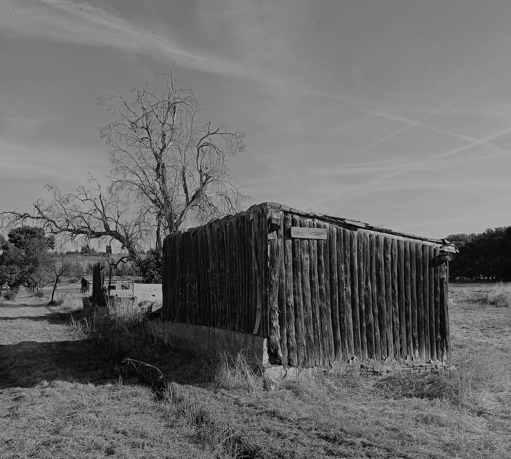 Photograph by Julio Medina