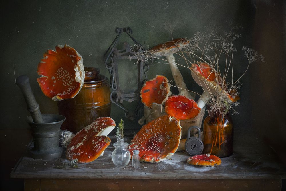 Photograph by Зимина Лионелла