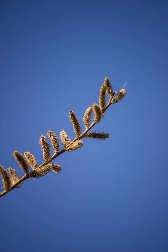 Photograph by Юлия Мешаева