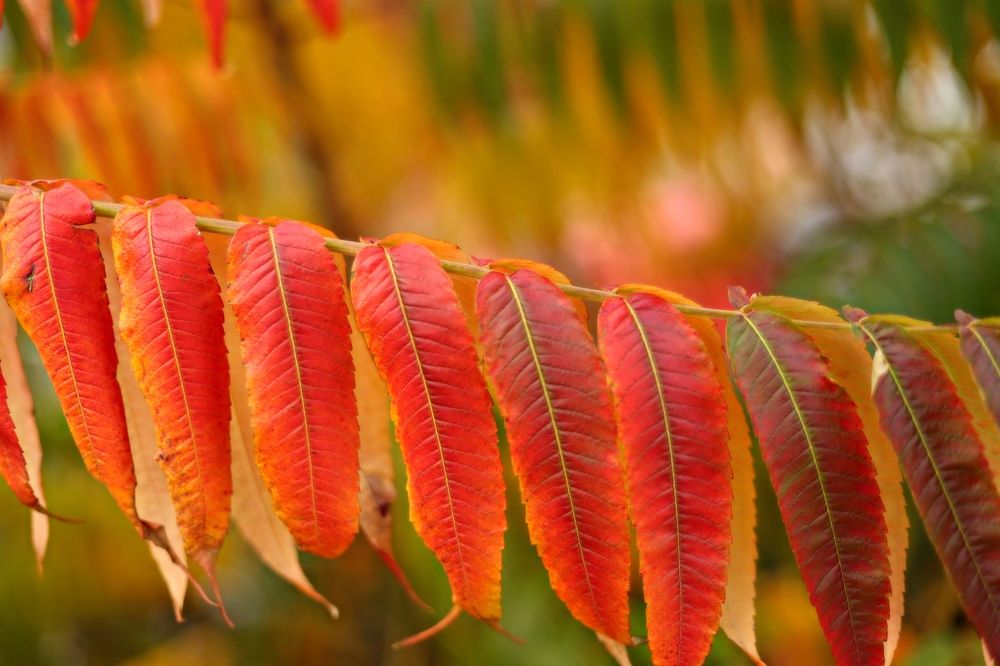 Photograph by Inga Dreger