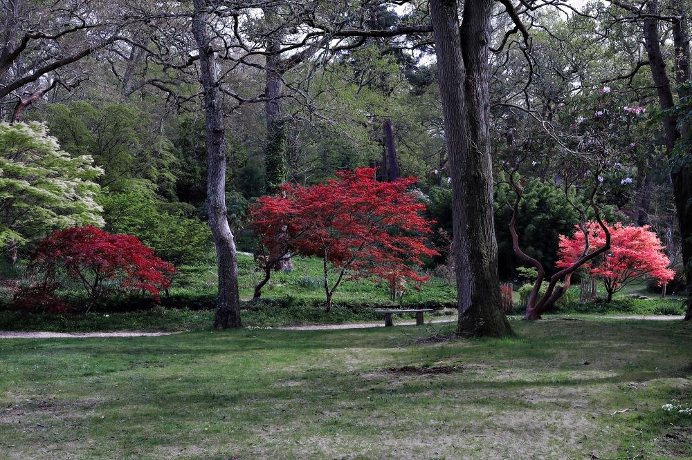 Photograph by Inga Dreger