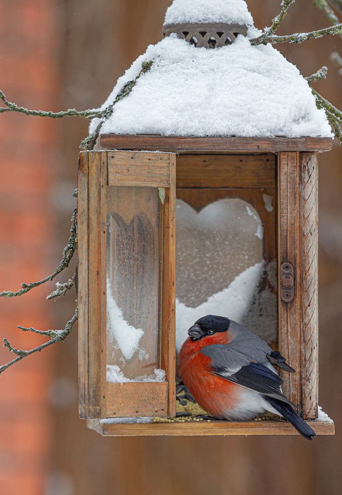Фотография автора Анатолий Макоедов