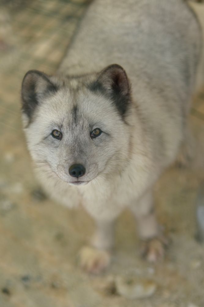 Photograph by Олеся Парфенова