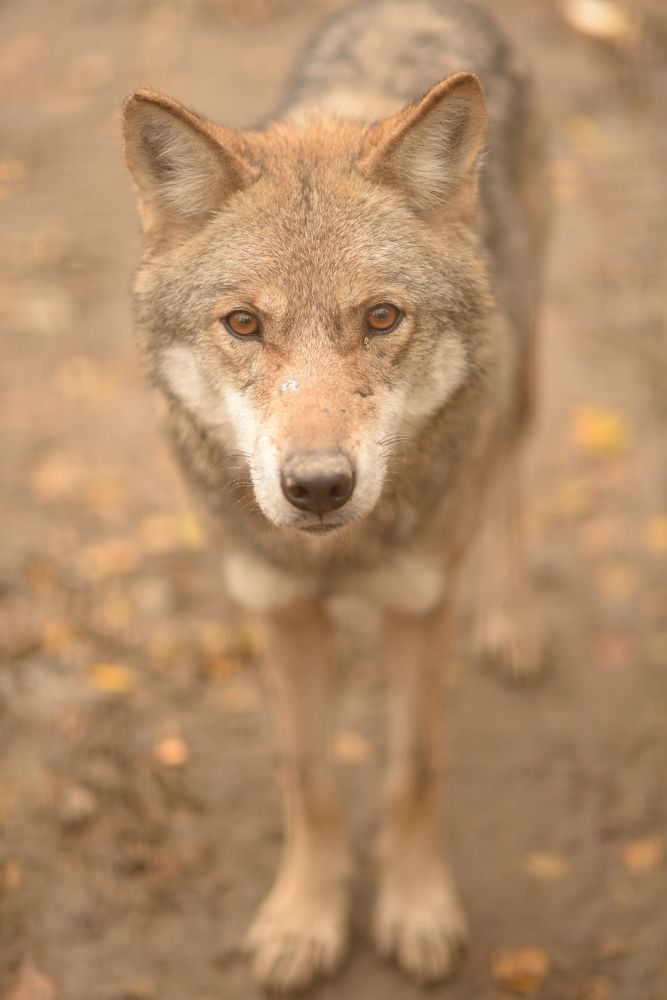 Photograph by Олеся Парфенова