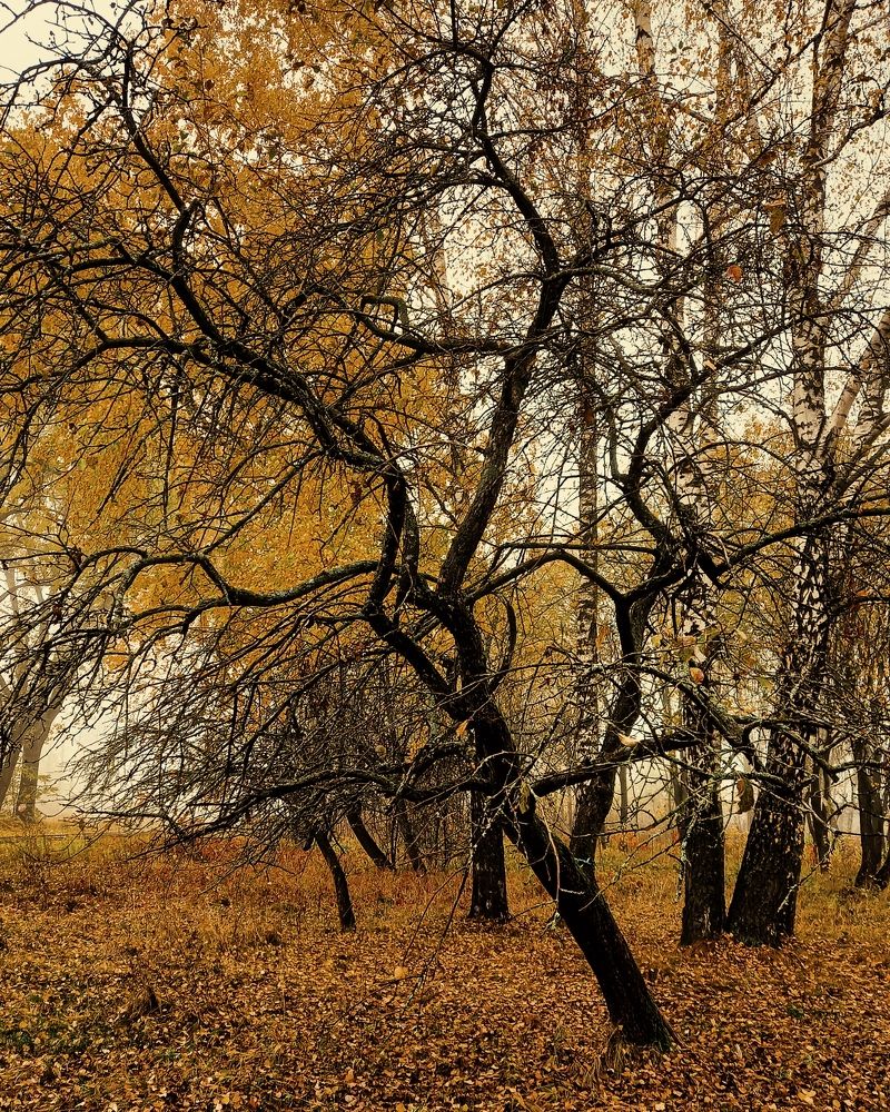 Photograph by Svetlana Yurasova