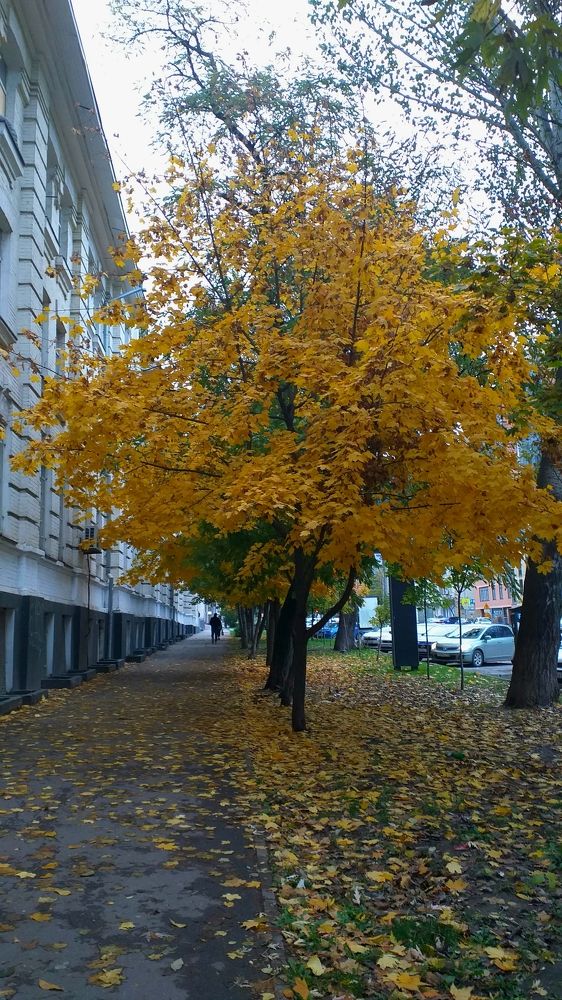 Photograph by Елена Кузнецова