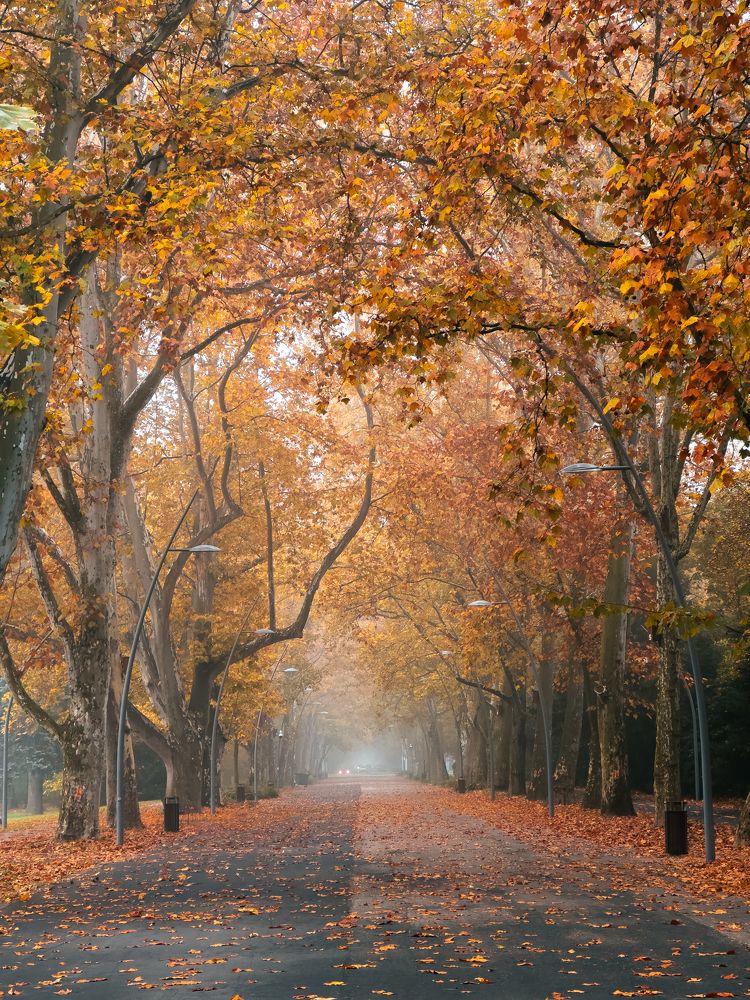 Фотография автора Amir H. Bakhtiari