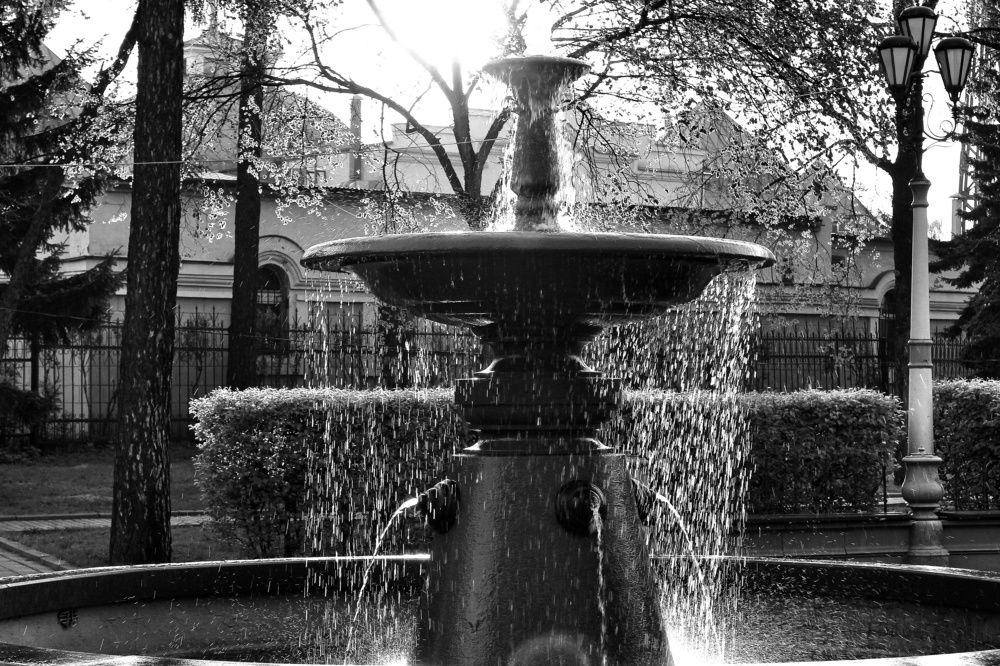 Photograph by Владимир Сушкин