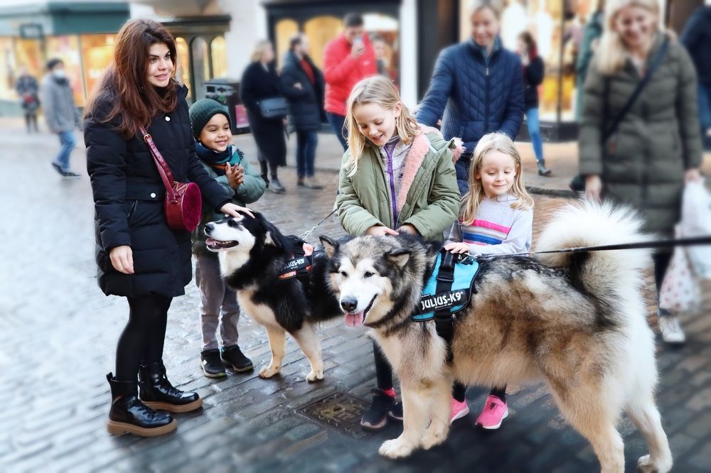 Photograph by Inga Dreger