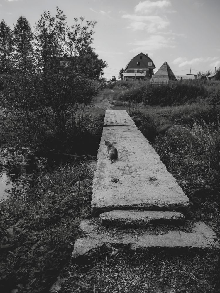 Photograph by Баженова Наталья