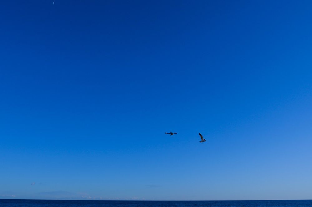 Photograph by Philippe CRUCIATA