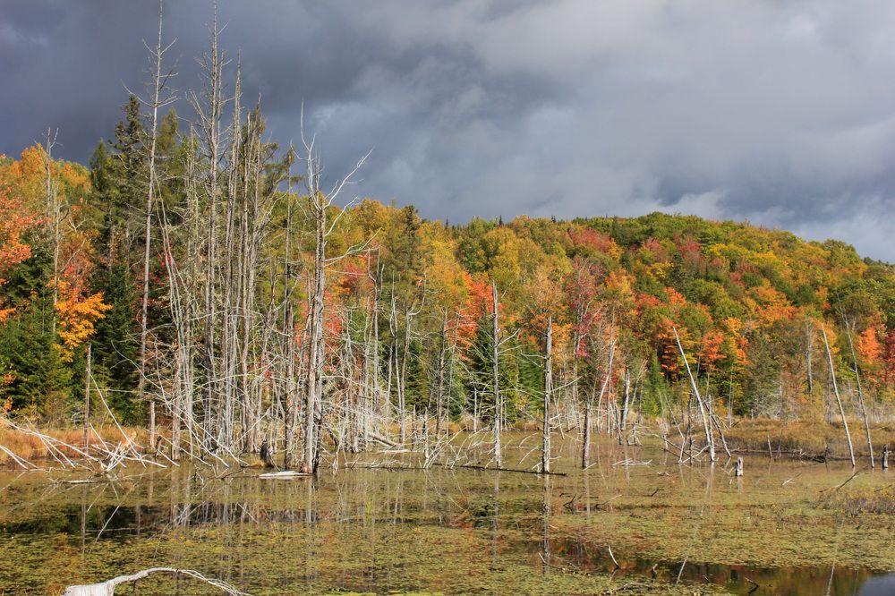 Photograph by Philippe CRUCIATA