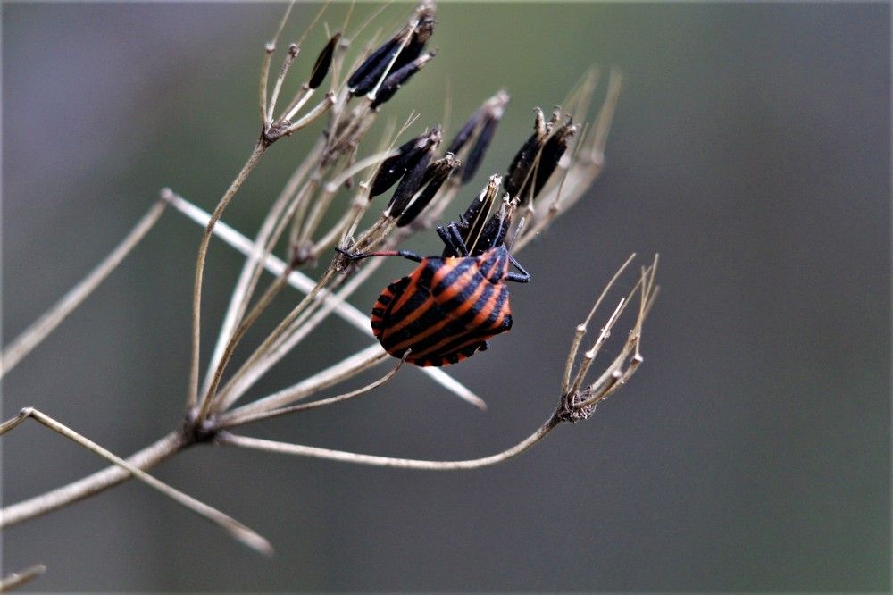 Photograph by Елена Фопа