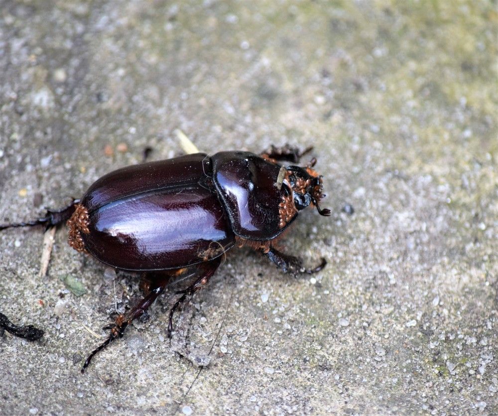 Photograph by Лариса Стрекулева