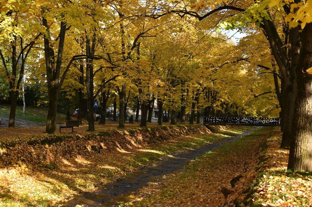 Photograph by Anna Zelinskaya