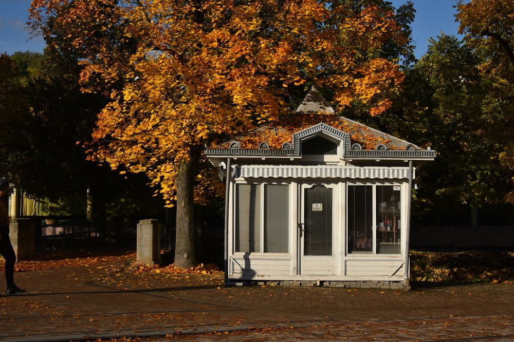 Photograph by Anna Zelinskaya