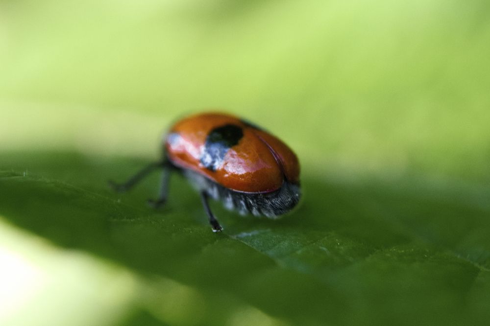 Photograph by Filip Betko