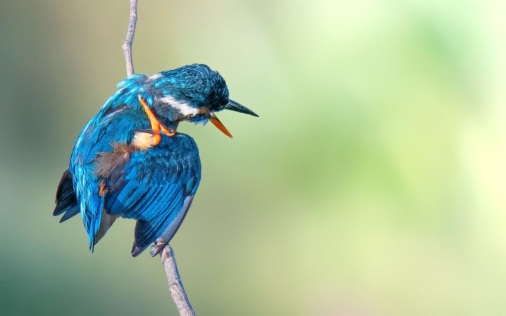 Photograph by Mohamed Raseem