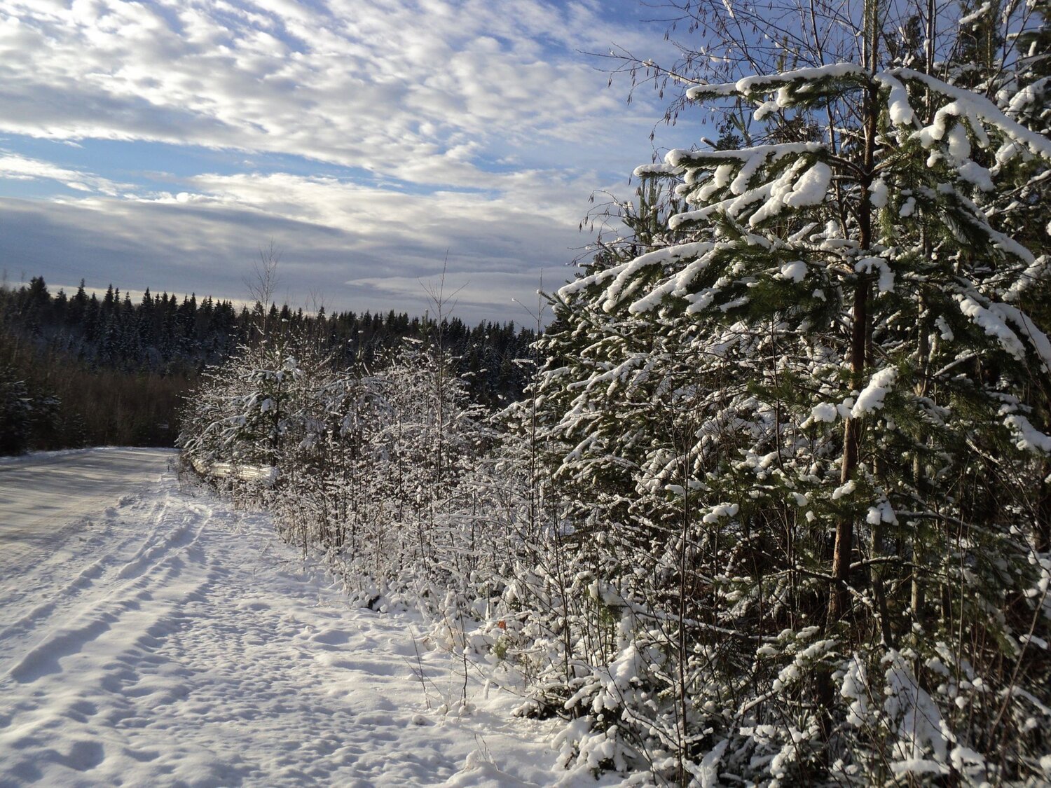 Photo #8267116