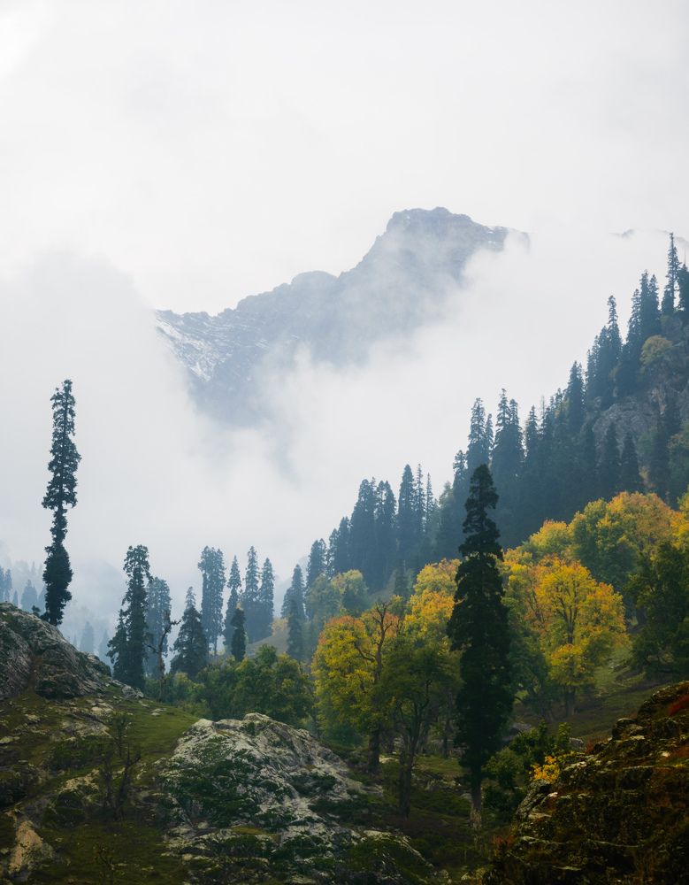 Photograph by Bondhu Dey