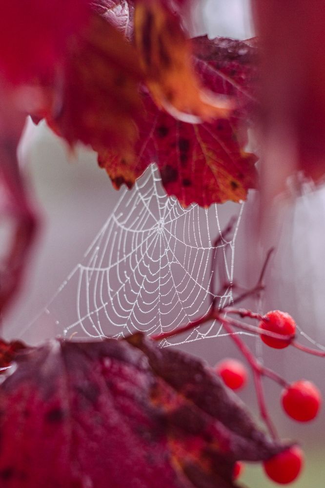 Photograph by Надежда Сидорова