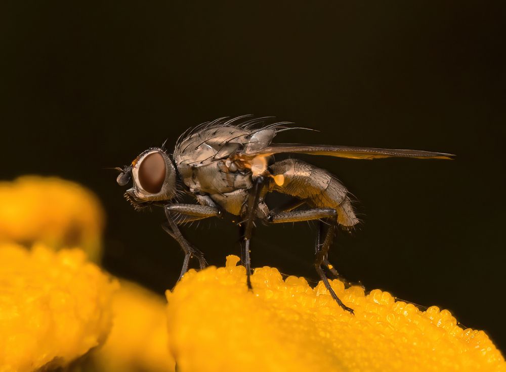 Photograph by Viktor Makarov