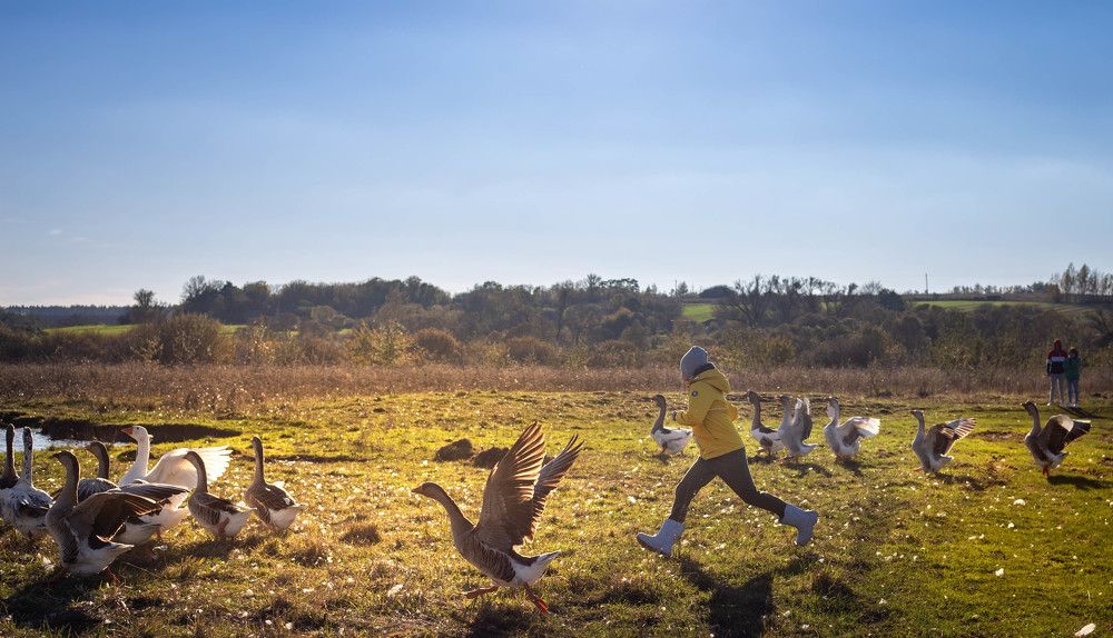 Photograph by Евгения Бочарова