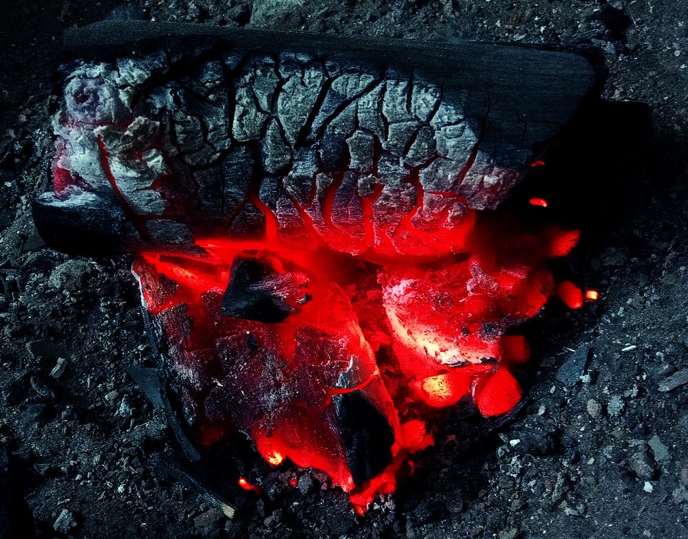 Photograph by Ritu Dinkar