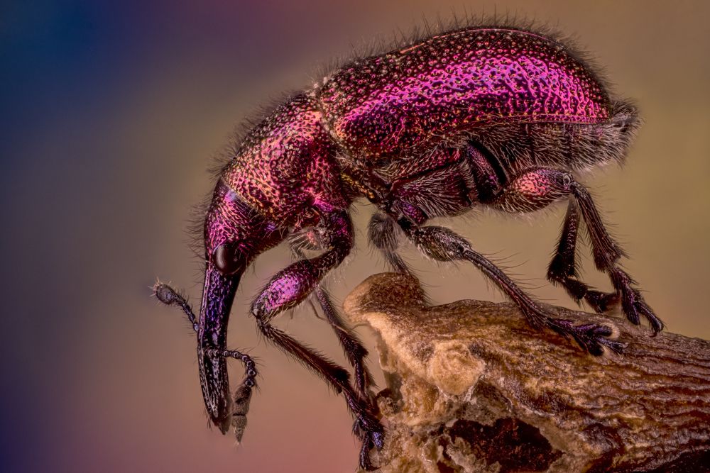 Photograph by Сергей Солобчук