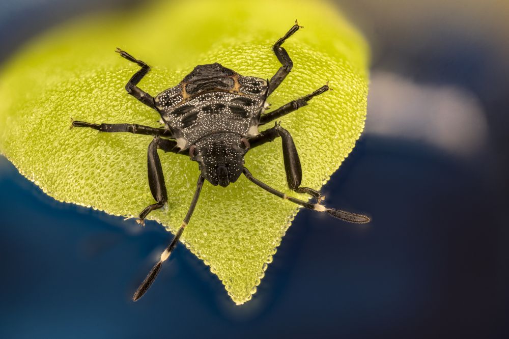 Photograph by Сергей Солобчук