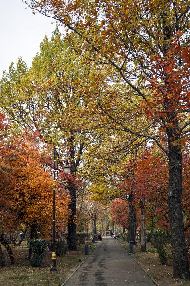 Photograph by Аскар Баймухамедов