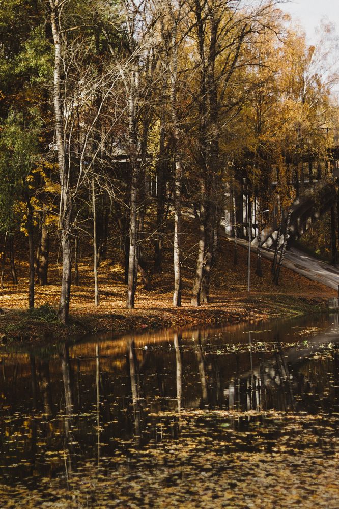 Photograph by Ульяна Кухновец