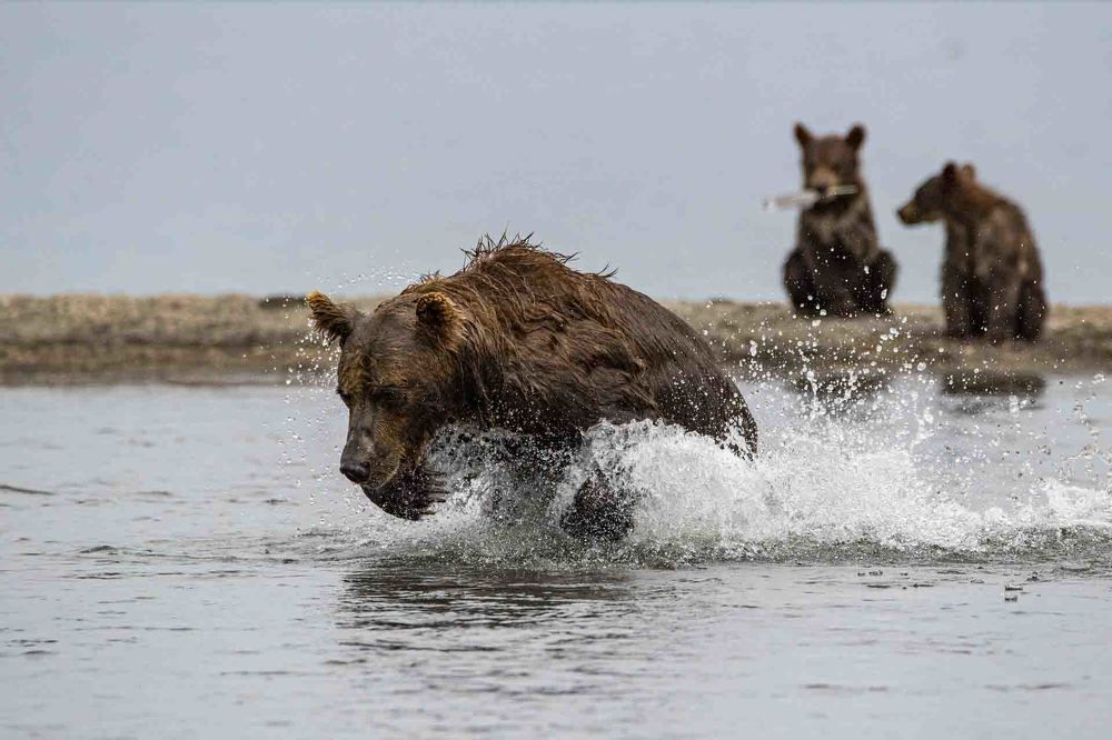 Photograph by Алексей Шаскольский