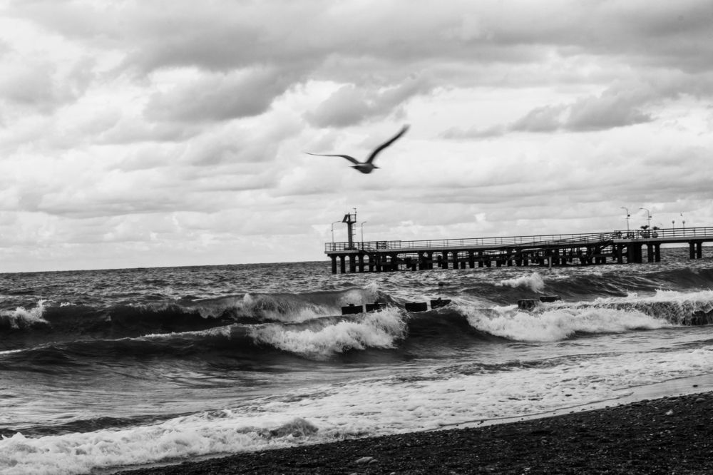 Photograph by Роман Саламатин