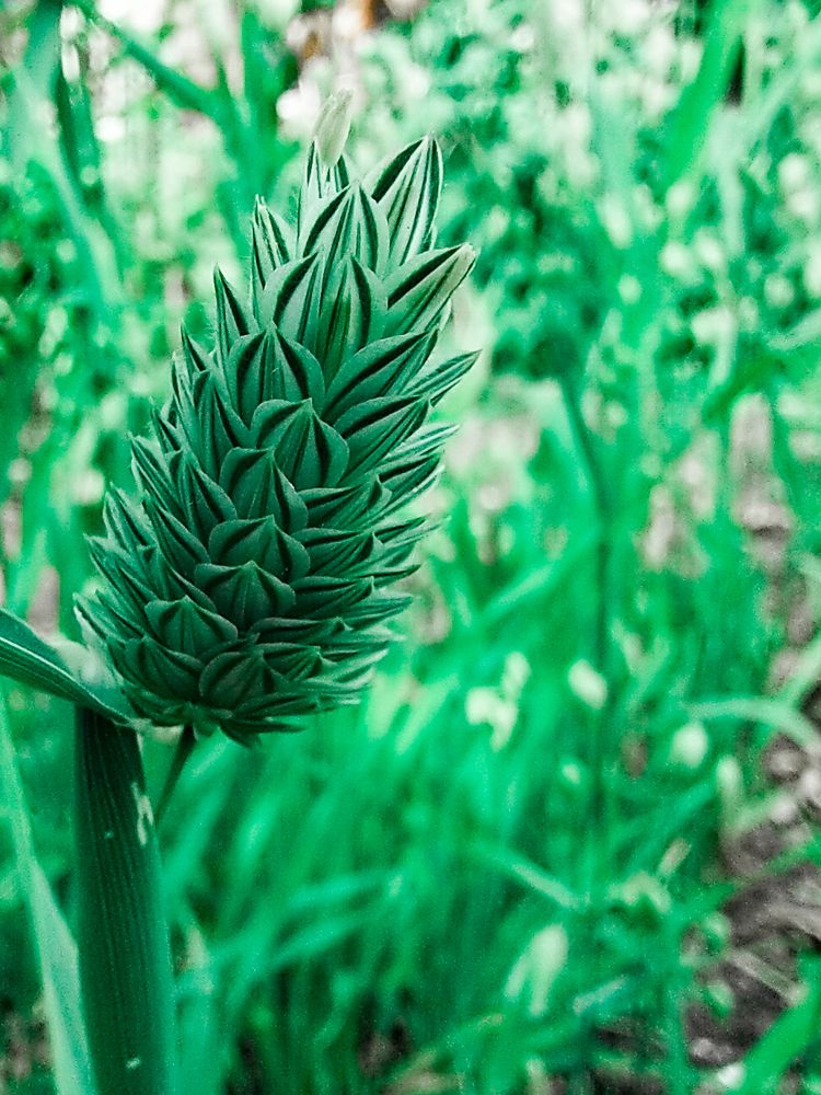 Photograph by Александра Лукашевич