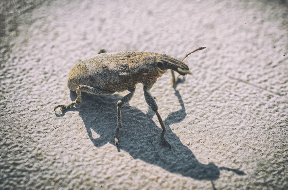 Photograph by Юлия Лушникова