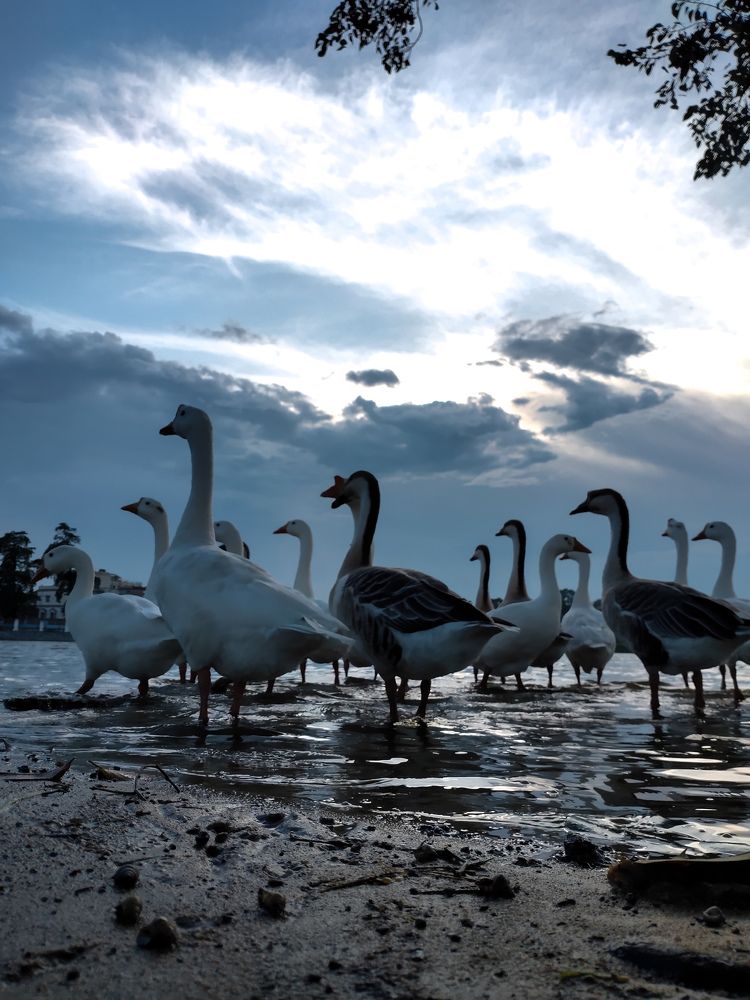 Photograph by Bapi Kundu