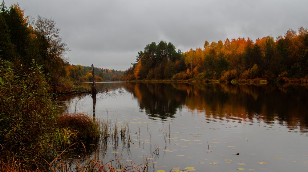 Photograph by Евгений Калагаев