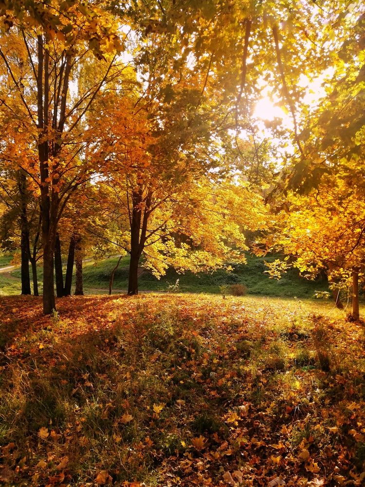 Photograph by Шавловская Марина