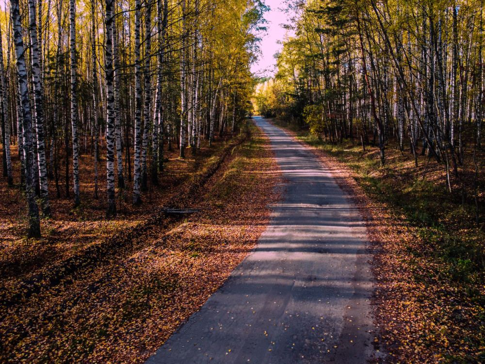 Фотография автора Сморчков Сергей