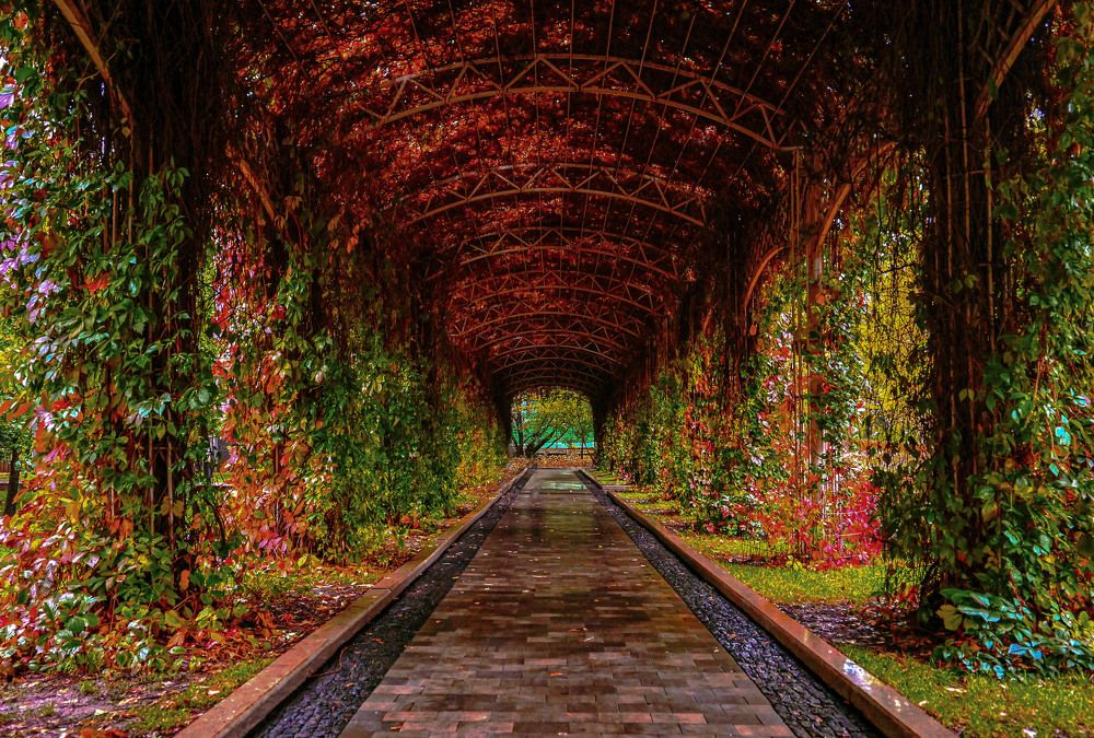 Фотография автора Сморчков Сергей