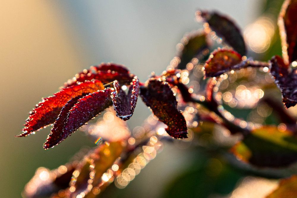 Фотография автора Сморчков Сергей