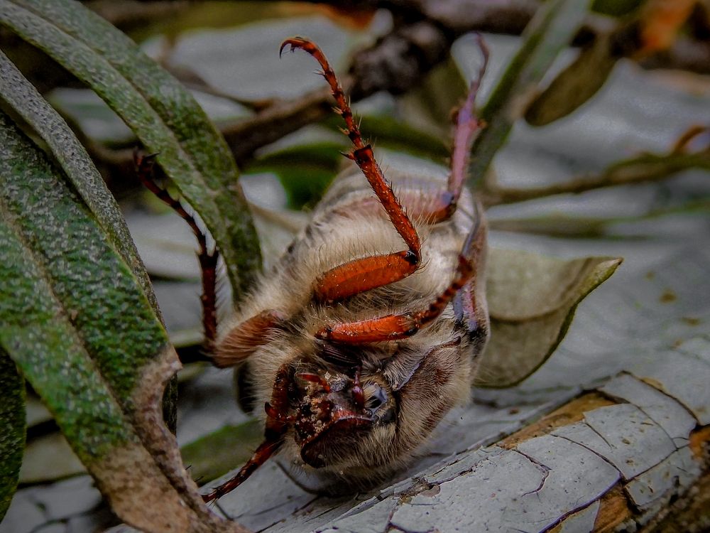 Photograph by Игорь Смирнов