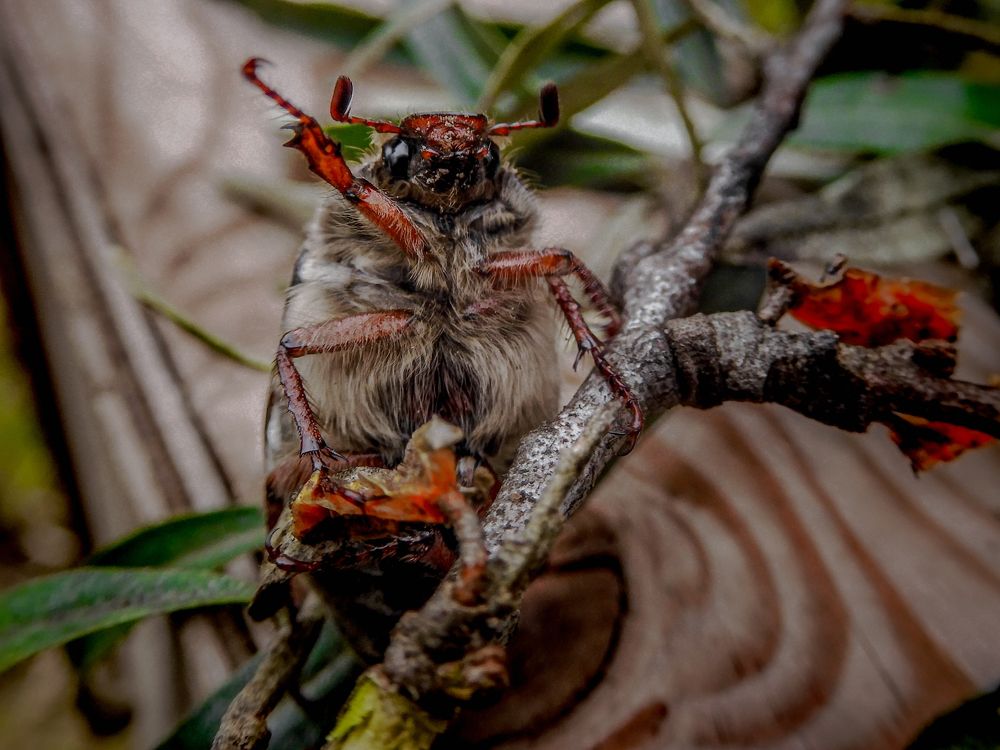 Photograph by Игорь Смирнов