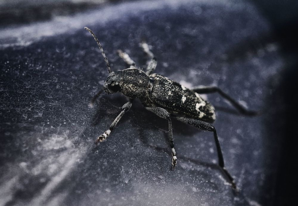 Photograph by Юлия Лушникова